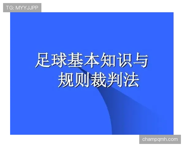 裁判报告在足球比赛中对判罚细节与规则执行的重要记录作用
